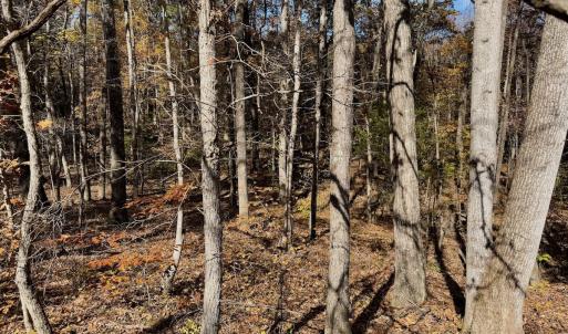 Photo #25 of Off Slatesville Road, Keeling, VA 40.0 acres