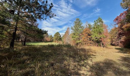 Photo #3 of Off Slatesville Road, Keeling, VA 40.0 acres