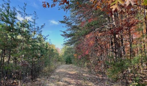 Photo #4 of Off Slatesville Road, Keeling, VA 40.0 acres