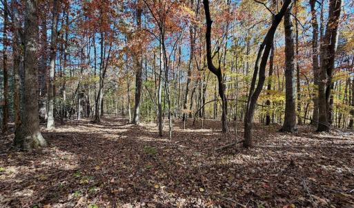 Photo #6 of Off Slatesville Road, Keeling, VA 40.0 acres