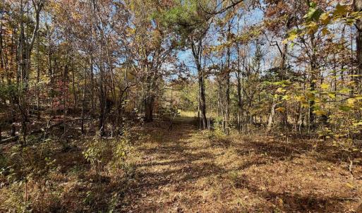 Photo #7 of Off Slatesville Road, Keeling, VA 40.0 acres