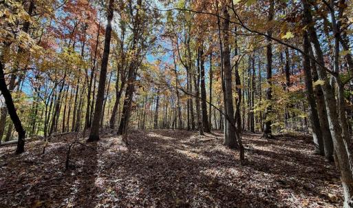 Photo #9 of Off Slatesville Road, Keeling, VA 40.0 acres
