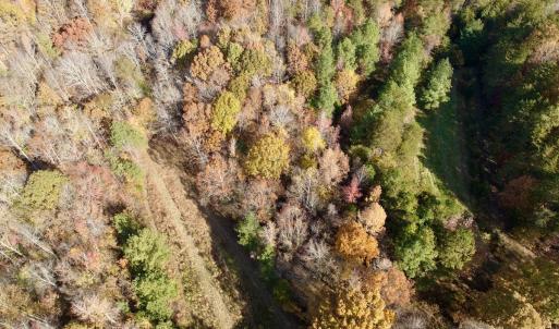 Photo #37 of Off Slatesville Road, Keeling, VA 40.0 acres