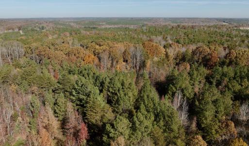 Photo #40 of Off Slatesville Road, Keeling, VA 40.0 acres