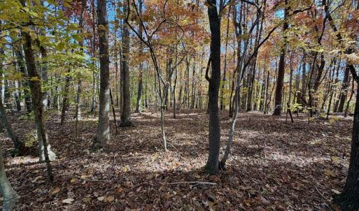 Photo #41 of Off Slatesville Road, Keeling, VA 40.0 acres