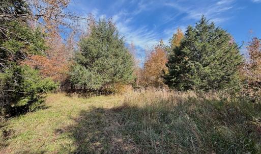 Photo #45 of Off Slatesville Road, Keeling, VA 40.0 acres