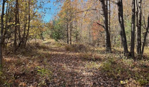 Photo #46 of Off Slatesville Road, Keeling, VA 40.0 acres