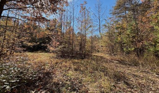 Photo #52 of Off Slatesville Road, Keeling, VA 40.0 acres