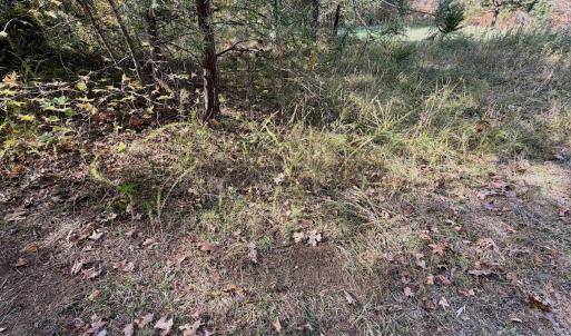 Photo #66 of Off Slatesville Road, Keeling, VA 40.0 acres