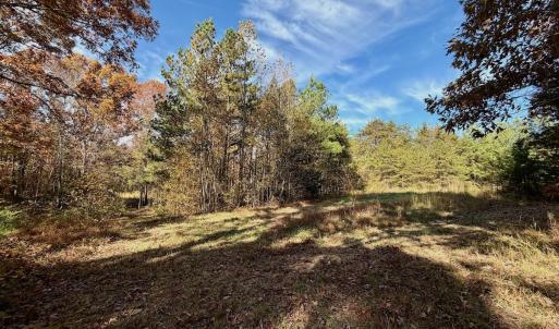 Photo #67 of Off Slatesville Road, Keeling, VA 40.0 acres