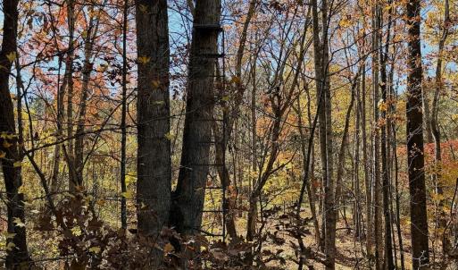 Photo #68 of Off Slatesville Road, Keeling, VA 40.0 acres