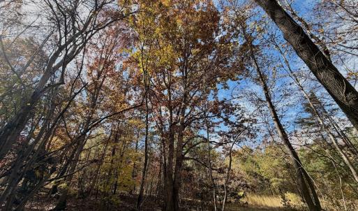 Photo #69 of Off Slatesville Road, Keeling, VA 40.0 acres