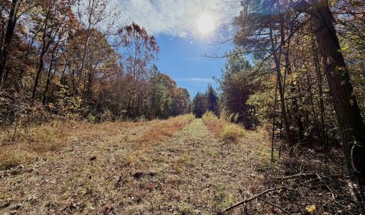 Photo #70 of Off Slatesville Road, Keeling, VA 40.0 acres