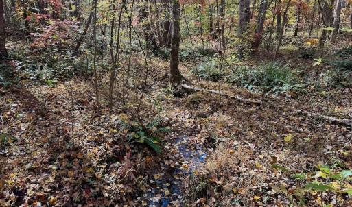 Photo #71 of Off Slatesville Road, Keeling, VA 40.0 acres