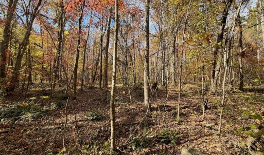 Photo #72 of Off Slatesville Road, Keeling, VA 40.0 acres