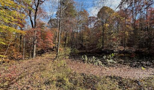 Photo #73 of Off Slatesville Road, Keeling, VA 40.0 acres