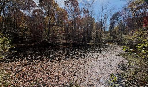 Photo #74 of Off Slatesville Road, Keeling, VA 40.0 acres