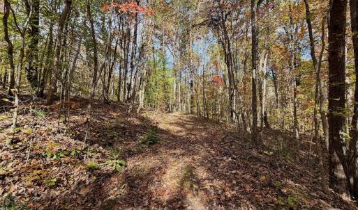 Photo #75 of Off Slatesville Road, Keeling, VA 40.0 acres