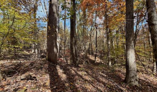 Photo #77 of Off Slatesville Road, Keeling, VA 40.0 acres