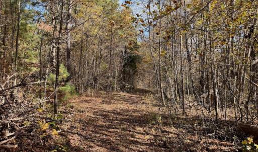 Photo #78 of Off Slatesville Road, Keeling, VA 40.0 acres