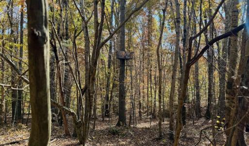 Photo #79 of Off Slatesville Road, Keeling, VA 40.0 acres