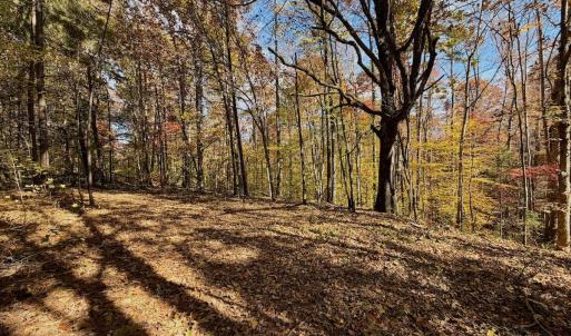 Photo #80 of Off Slatesville Road, Keeling, VA 40.0 acres