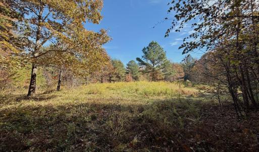 Photo #62 of Off Slatesville Road, Keeling, VA 40.0 acres