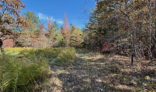 Photo #63 of Off Slatesville Road, Keeling, VA 40.0 acres