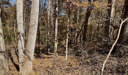 Photo #82 of Off Slatesville Road, Keeling, VA 40.0 acres