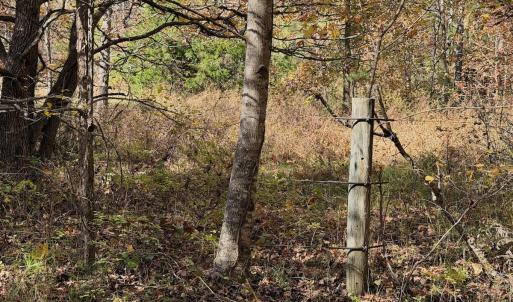 Photo #83 of Off Slatesville Road, Keeling, VA 40.0 acres