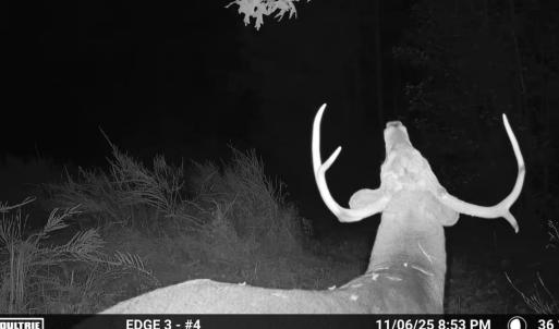 Photo #85 of Off Slatesville Road, Keeling, VA 40.0 acres