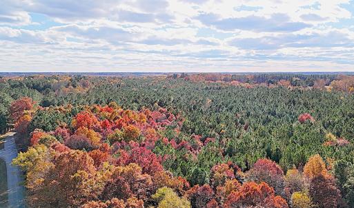 Photo #13 of Off Camp Ground Rd., Emporia, VA 15.0 acres