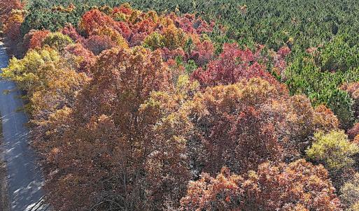 Photo #14 of Off Camp Ground Rd., Emporia, VA 15.0 acres