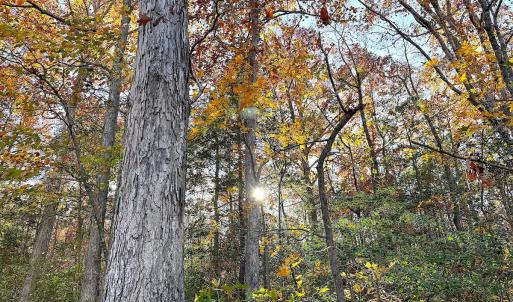 Photo #16 of Off Camp Ground Rd., Emporia, VA 15.0 acres