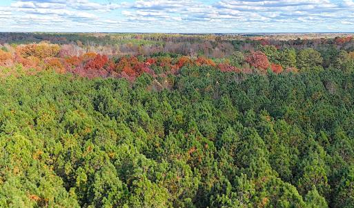 Photo #17 of Off Camp Ground Rd., Emporia, VA 15.0 acres