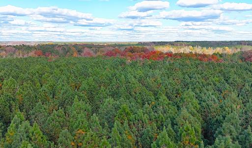 Photo #18 of Off Camp Ground Rd., Emporia, VA 15.0 acres