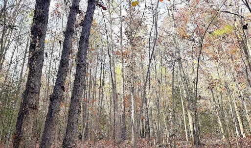 Photo #22 of Off Camp Ground Rd., Emporia, VA 15.0 acres