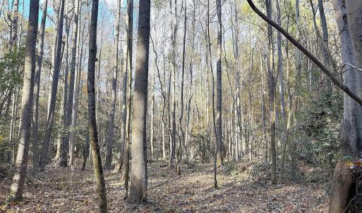 Photo #3 of Off Camp Ground Rd., Emporia, VA 15.0 acres