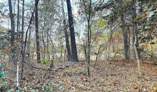 Photo #23 of Off Camp Ground Rd., Emporia, VA 15.0 acres