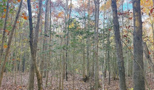 Photo #26 of Off Camp Ground Rd., Emporia, VA 15.0 acres
