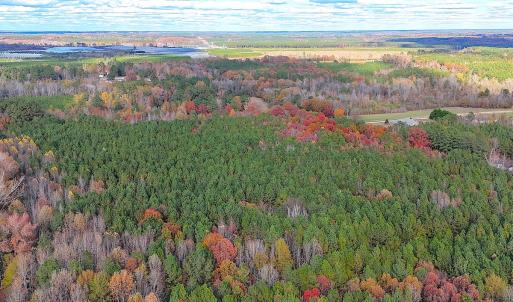 Photo #6 of Off Camp Ground Rd., Emporia, VA 15.0 acres