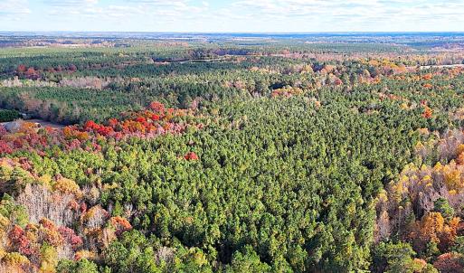 Photo #8 of Off Camp Ground Rd., Emporia, VA 15.0 acres