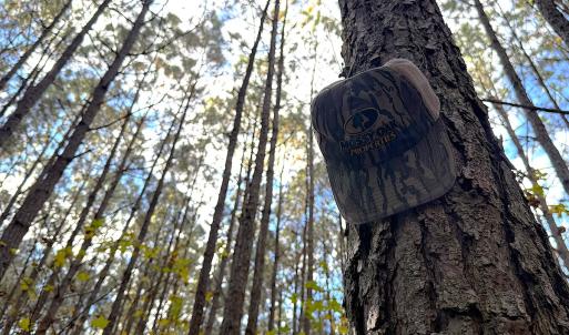 Photo #10 of Off Camp Ground Rd., Emporia, VA 15.0 acres