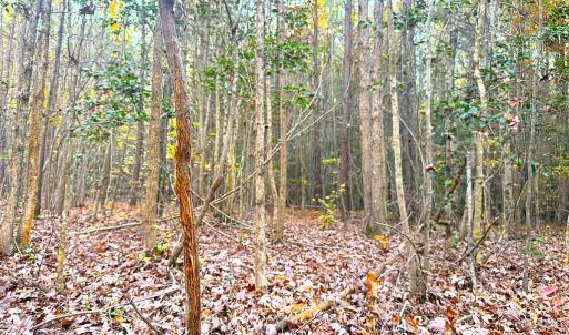 Photo #12 of Off Camp Ground Rd., Emporia, VA 15.0 acres