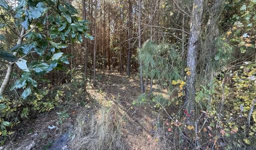 Photo #39 of Off E Pleasant Hill Rd, Pink Hill, NC 81.0 acres