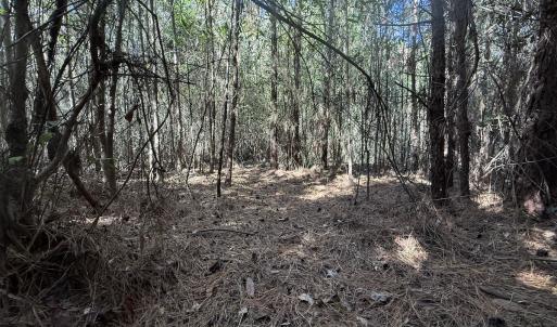 Photo #42 of Off E Pleasant Hill Rd, Pink Hill, NC 81.0 acres