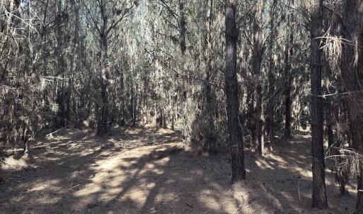 Photo #44 of Off E Pleasant Hill Rd, Pink Hill, NC 81.0 acres