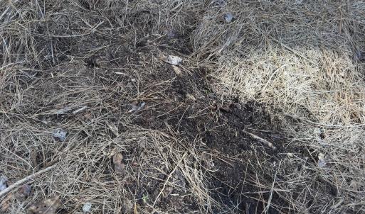 Photo #45 of Off E Pleasant Hill Rd, Pink Hill, NC 81.0 acres