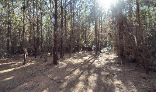 Photo #47 of Off E Pleasant Hill Rd, Pink Hill, NC 81.0 acres