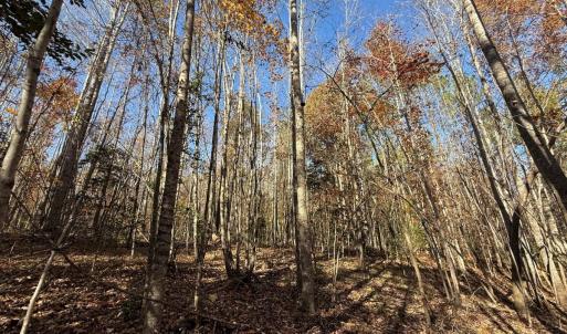 Photo #16 of Off Russell Union Road, Manson, NC 8.0 acres